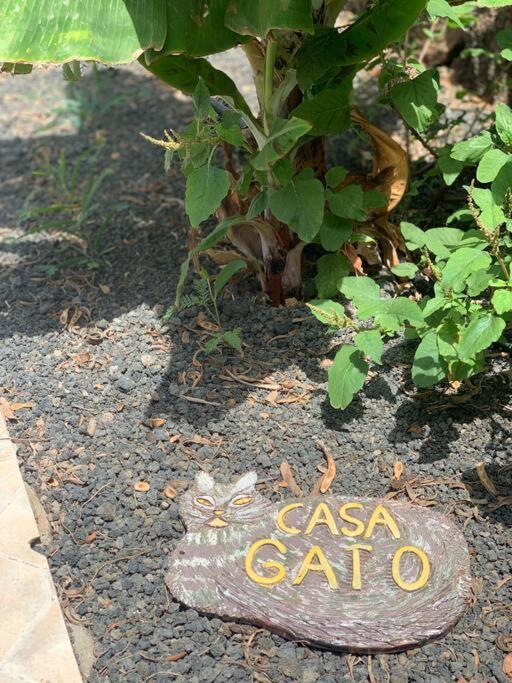Casa Gato Corralejo Exterior foto